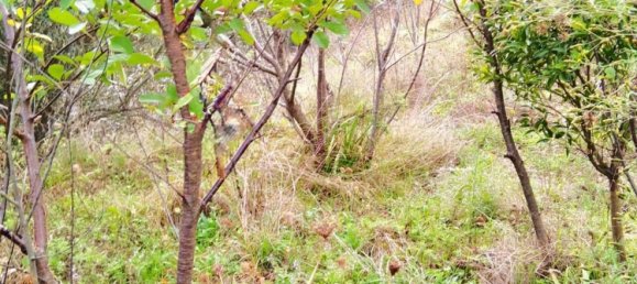 2 bedrooms Apartment in Noli, Italy No. 372372 7