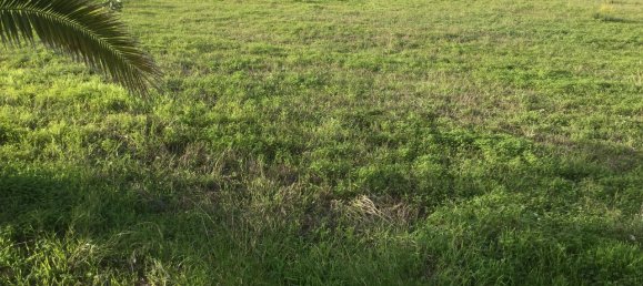 9 bedrooms House in Vila do Bispo, Portugal No. 126498 36