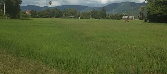 20 bedrooms Commercial property in Chiang Mai, Thailand No. 23303 2