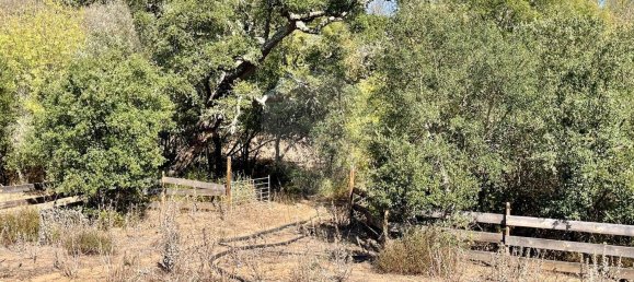 4 Schlafzimmer Haus in Ferreira do Alentejo, Portugal, Nr. 175779 21