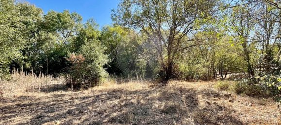4 Schlafzimmer Haus in Ferreira do Alentejo, Portugal, Nr. 175779 22
