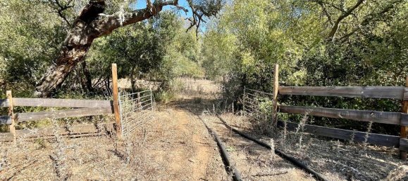 4 Schlafzimmer Haus in Ferreira do Alentejo, Portugal, Nr. 175779 38