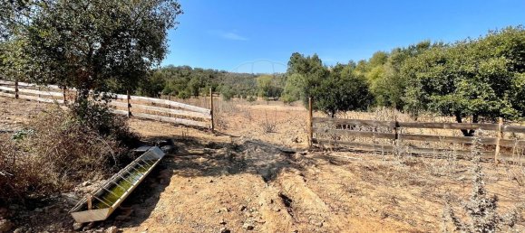 4 Schlafzimmer Haus in Ferreira do Alentejo, Portugal, Nr. 175779 13