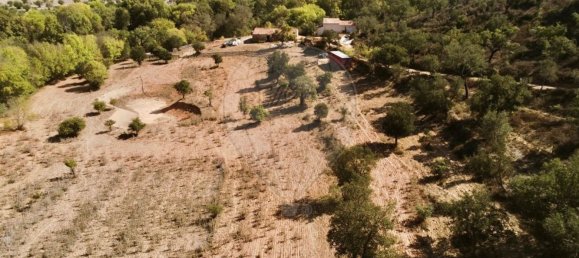4 Schlafzimmer Haus in Ferreira do Alentejo, Portugal, Nr. 175779 7