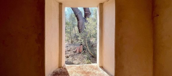 4 Schlafzimmer Haus in Ferreira do Alentejo, Portugal, Nr. 175779 41