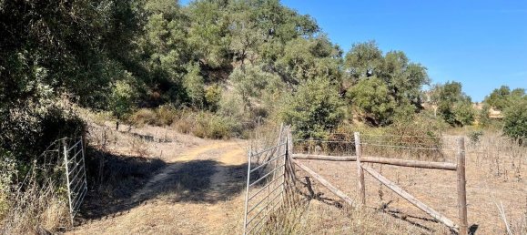 4 Schlafzimmer Haus in Ferreira do Alentejo, Portugal, Nr. 175779 36