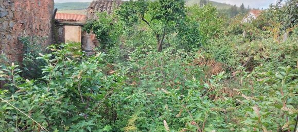 3 غرف نوم منزل في Troviscal, Portugal رقم 31472 9