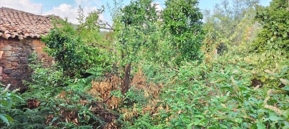 3 غرف نوم منزل في Troviscal, Portugal رقم 31472 7