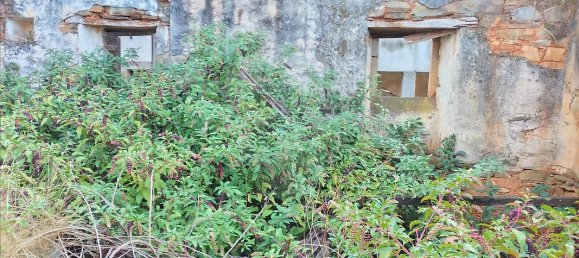 3 غرف نوم منزل في Troviscal, Portugal رقم 31472 4