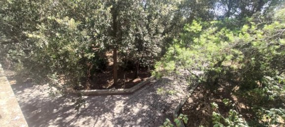 5غرفة فيلا في Matino, Italy رقم 230494 19