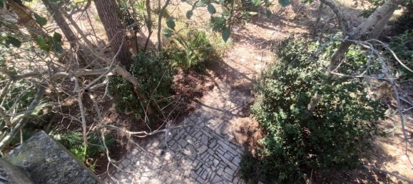 5غرفة فيلا في Matino, Italy رقم 230494 20