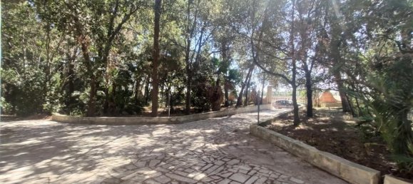 5غرفة فيلا في Matino, Italy رقم 230494 5