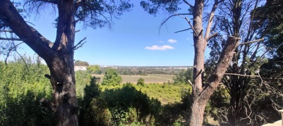 5غرفة فيلا في Matino, Italy رقم 230494 21