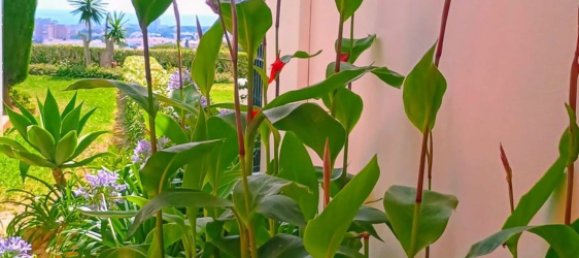 Apartamento de 1 dormitorio en Mijas, Spain No. 148515 49