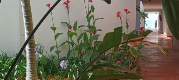 Apartamento de 1 dormitorio en Mijas, Spain No. 148515 30