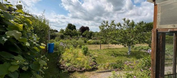  Land in Ostprignitz-Ruppin, Germany No. 283076 3