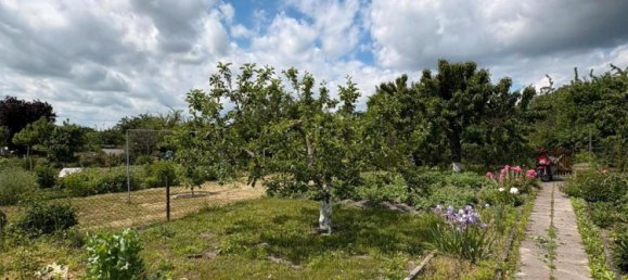  Land in Ostprignitz-Ruppin, Germany No. 283076 2