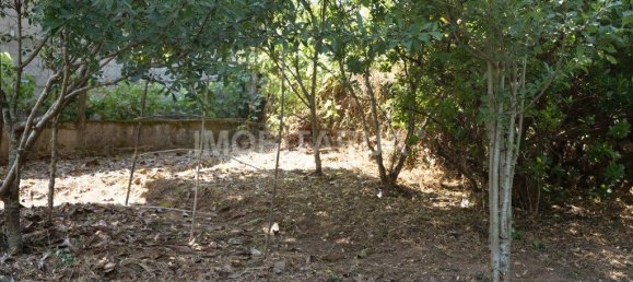 3 bedrooms House in Mortagua, Portugal No. 236402 15