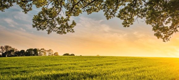 2 bedrooms House in Veigne, France No. 329760 3