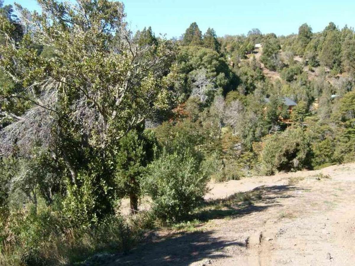  Land in Neuquen, Argentina No. 34538