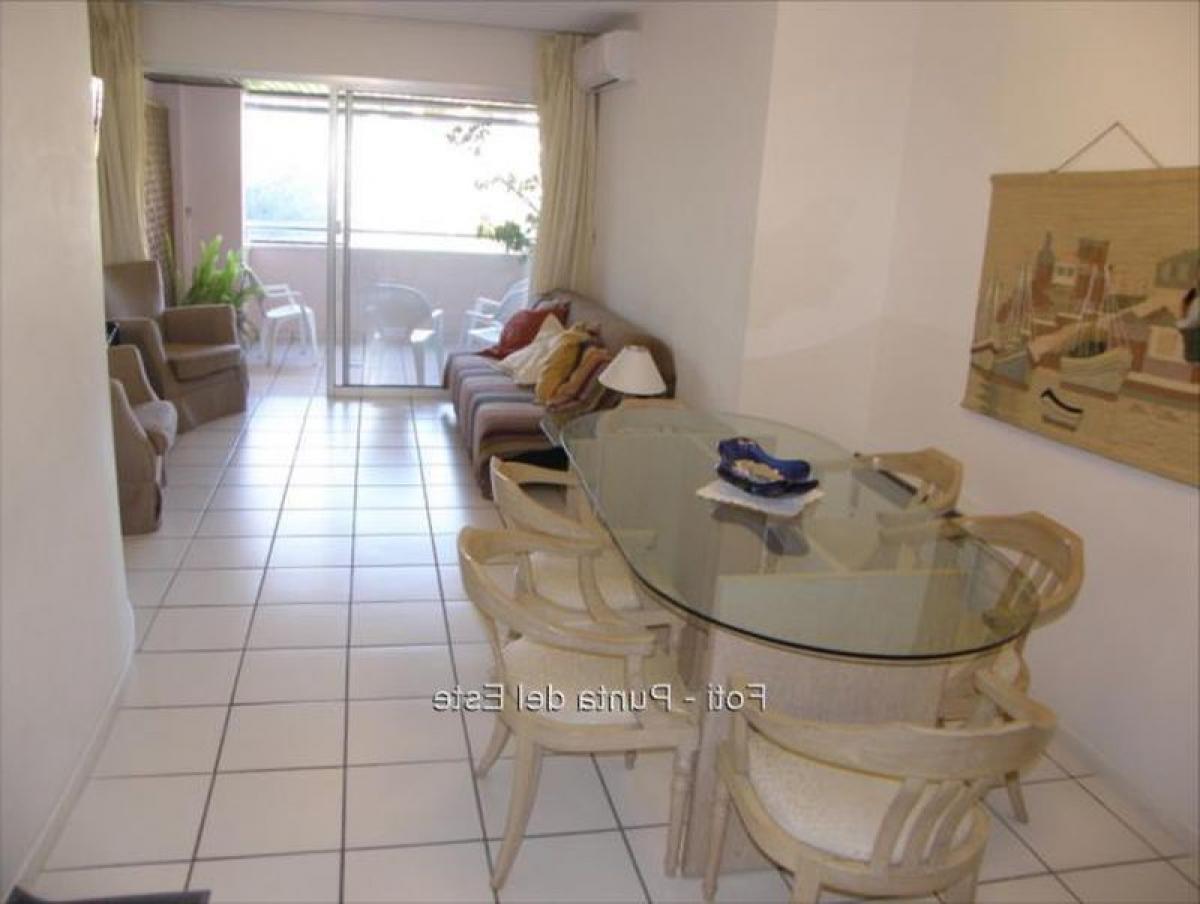 3 غرف نوم شقة في Punta del Este, Uruguay رقم 234