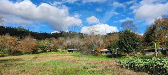 Дом с 3 спальнями в Сан Педру ду Сул, Португалия № 66586 9