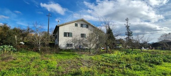 Дом с 3 спальнями в Сан Педру ду Сул, Португалия № 66586 14