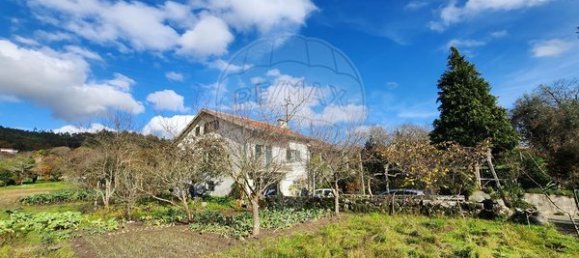 Дом с 3 спальнями в Сан Педру ду Сул, Португалия № 66586 20