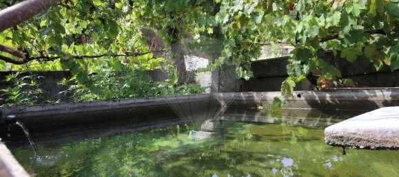 2 bedrooms House in Rio Douro, Portugal No. 177485 5