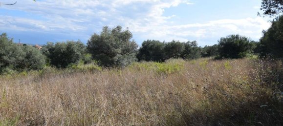 2 bedrooms Apartment in Città Sant'Angelo, Italy No. 314571 8