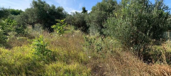 2 bedrooms Apartment in Città Sant'Angelo, Italy No. 314571 13