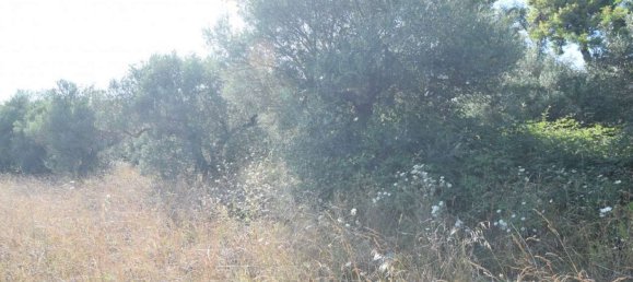 2 bedrooms Apartment in Città Sant'Angelo, Italy No. 314571 5