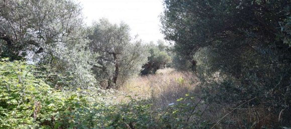 2 bedrooms Apartment in Città Sant'Angelo, Italy No. 314571 9