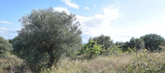 2 bedrooms Apartment in Città Sant'Angelo, Italy No. 314571 7