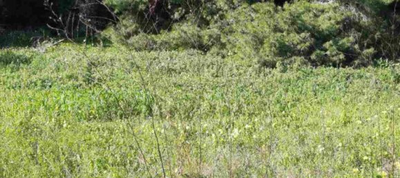 Hotel em Zakynthos, Greece N.º 457 10