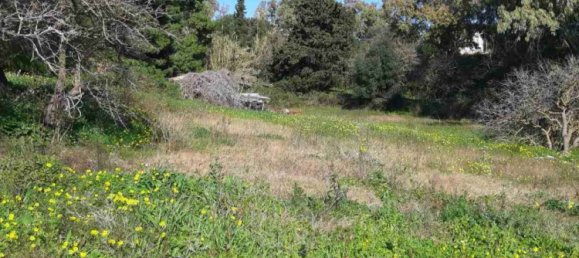 Hotel em Zakynthos, Greece N.º 457 9