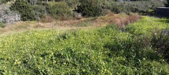 Hotel em Zakynthos, Greece N.º 457 5