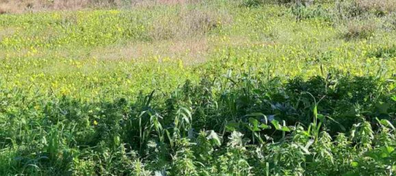 Hotel em Zakynthos, Greece N.º 457 12