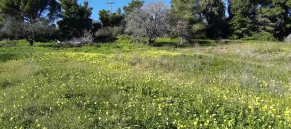 Hotel em Zakynthos, Greece N.º 457 7