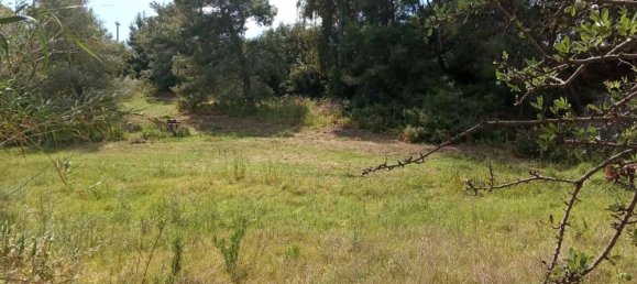 Hotel em Zakynthos, Greece N.º 457 21