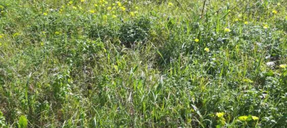 Hotel em Zakynthos, Greece N.º 457 8