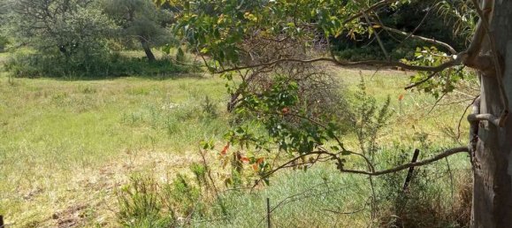 Hotel em Zakynthos, Greece N.º 457 19