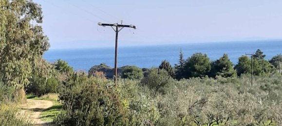 Hotel em Zakynthos, Greece N.º 457 13