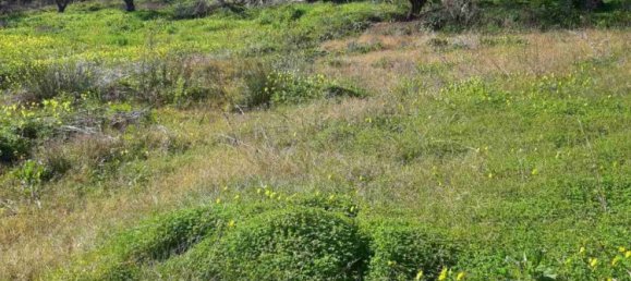 Hotel em Zakynthos, Greece N.º 457 4