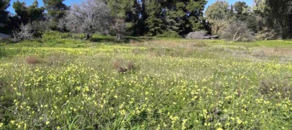 Hotel em Zakynthos, Greece N.º 457 3