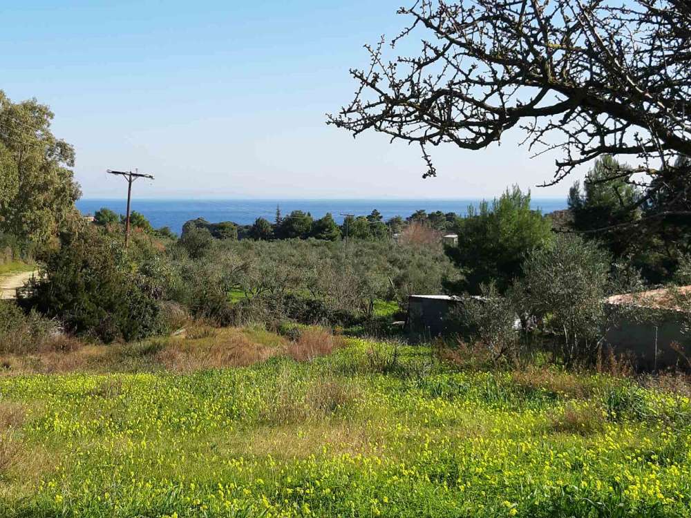 Hotel em Zakynthos, Greece N.º 457