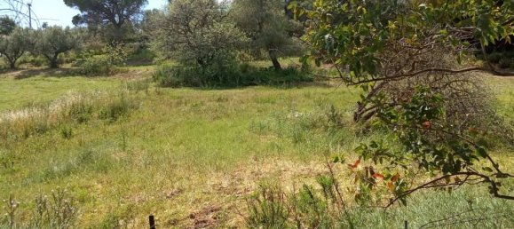 Hotel em Zakynthos, Greece N.º 457 15