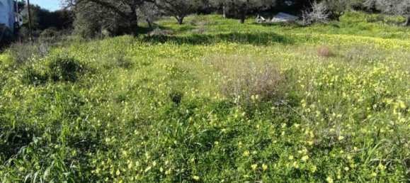 Hotel em Zakynthos, Greece N.º 457 6