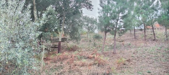 2 bedrooms House in Serta, Portugal No. 31448 17