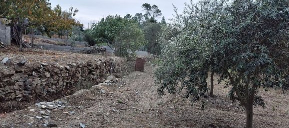 2 bedrooms House in Serta, Portugal No. 31448 19